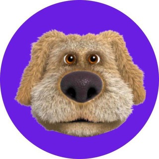Telegram profile photo for BENDOG | chat CIS