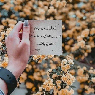 Telegram profile photo for 🤍نقطه. سَرِخَط!🌱