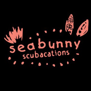 Telegram profile photo for Seabunny Scubcations Semporna