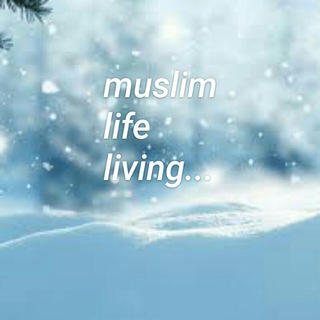 Telegram profile photo for история of muslims