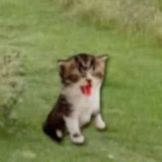 Telegram profile photo for Уголок под кроватью(*・∞・)ノ。