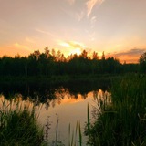 Telegram profile photo for Озеро "Малая Здохня"