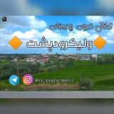 Telegram profile photo for رسانه روستای ولیکرودپشت📢