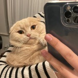 Telegram profile photo for fanfedi