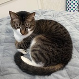Telegram profile photo for Филя’s LIFE