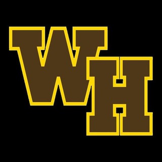 Telegram profile photo for WF-HACK