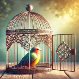 Telegram profile photo for Xitoy Qafaslari 🐦⬛