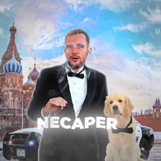 Telegram profile photo for NECAPER 💣 | Ставки на спорт