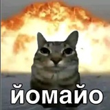 Telegram profile photo for ᴅᴜsᴍᴇᴋɪ🖖