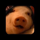 Telegram profile photo for 8Bit
