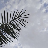 Telegram profile photo for مَوطِن الغَيم☁️