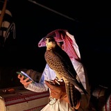Telegram profile photo for ᷂هُجَـام