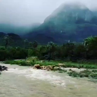 Telegram profile photo for 🌴Nature status and Travel super status🌴