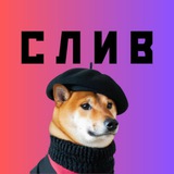 Telegram profile photo for Сатоши Биткоинов | satoshi bitcoinov