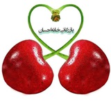 Telegram profile photo for بازرگانی خانه احسان
