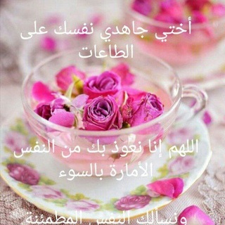 Telegram profile photo for أُختي عَلى الكِتَابِ وَ السُنَّة