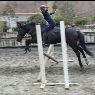 Telegram profile photo for Threе days of horse