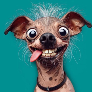 Telegram group profile photo for UglyDogToken