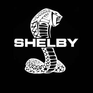 Telegram profile photo for SHELBY (AI Trading)