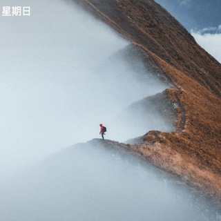 Telegram profile photo for 新元时事云云群