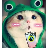 Telegram profile photo for BOBANYAN($BOBA 에코시스템)