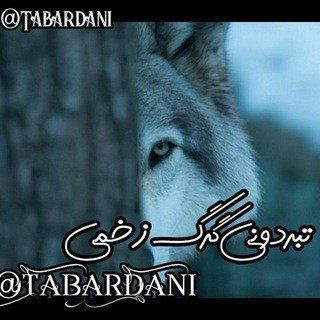 Telegram profile photo for 🏴☠️ تبردونی گرگ زخمی 🏴☠️