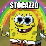 Telegram profile photo for stocazzo