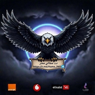 Telegram profile photo for نت مجاني مصر 🦅| free internet