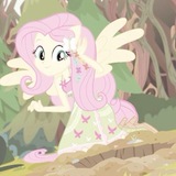 Telegram profile photo for Fluttershy :3