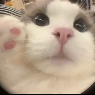 Telegram profile photo for Юля Годунова Resale