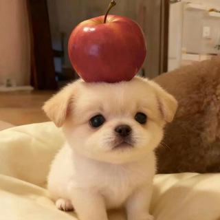Telegram profile photo for МИКРОБ
