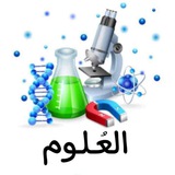 Telegram profile photo for أسئلة علم الأحياء _ثالث ثانوي