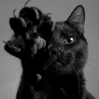 Telegram group profile photo for ЧАТ ВЗАИМНОЙ ПОДПИСКИ