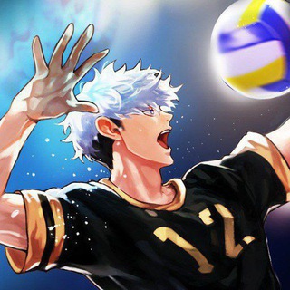 Telegram profile photo for The Spike! Volleyball chat!