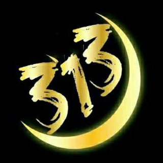 Telegram profile photo for قافلة الامـام الـمـهــدي 313