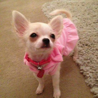 Telegram profile photo for Girls мысля