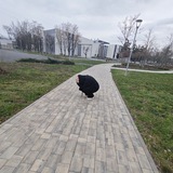 Telegram profile photo for "Фильмы/сериалы/дорамы/аниме/мультфильмы в жанре, ужасы/мелодрамы/фентези/романтика и т.д."