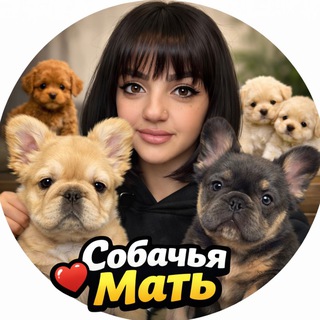 Telegram profile photo for Собачья❤️Мать 🐶