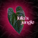 Telegram profile photo for Julia's jungle | Юля и растения