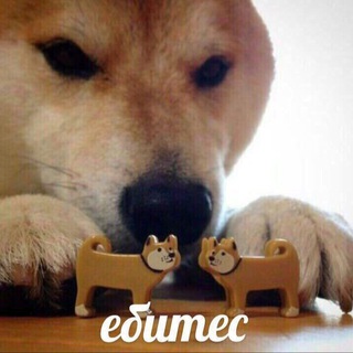 Telegram profile photo for Ждем монолог фармацевта
