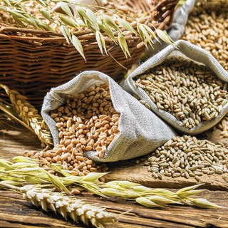 Telegram group profile photo for Агро 🌾 СХП в СНГ