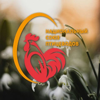 Telegram profile photo for Национальный союз птицеводов