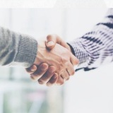 Telegram profile photo for Договорняки накануне голосования