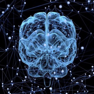 Telegram profile photo for Subjective Intelligence