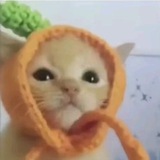 Telegram profile photo for кусечка