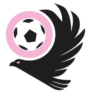Telegram profile photo for TifosiPalermo.it