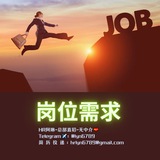 Telegram profile photo for 岗位明细需求