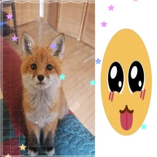 Telegram profile photo for ๐น๐๐ฅ๐๐๐๐ ๐๐๐๐