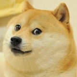 Telegram profile photo for DogeLore
