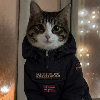Telegram profile photo for MadThunder